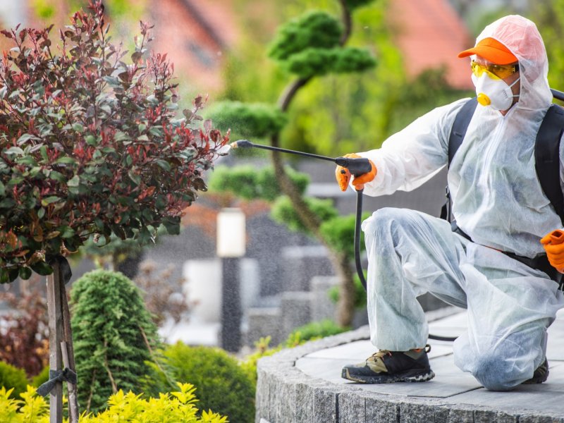 Avanos Haşere İlaçlama